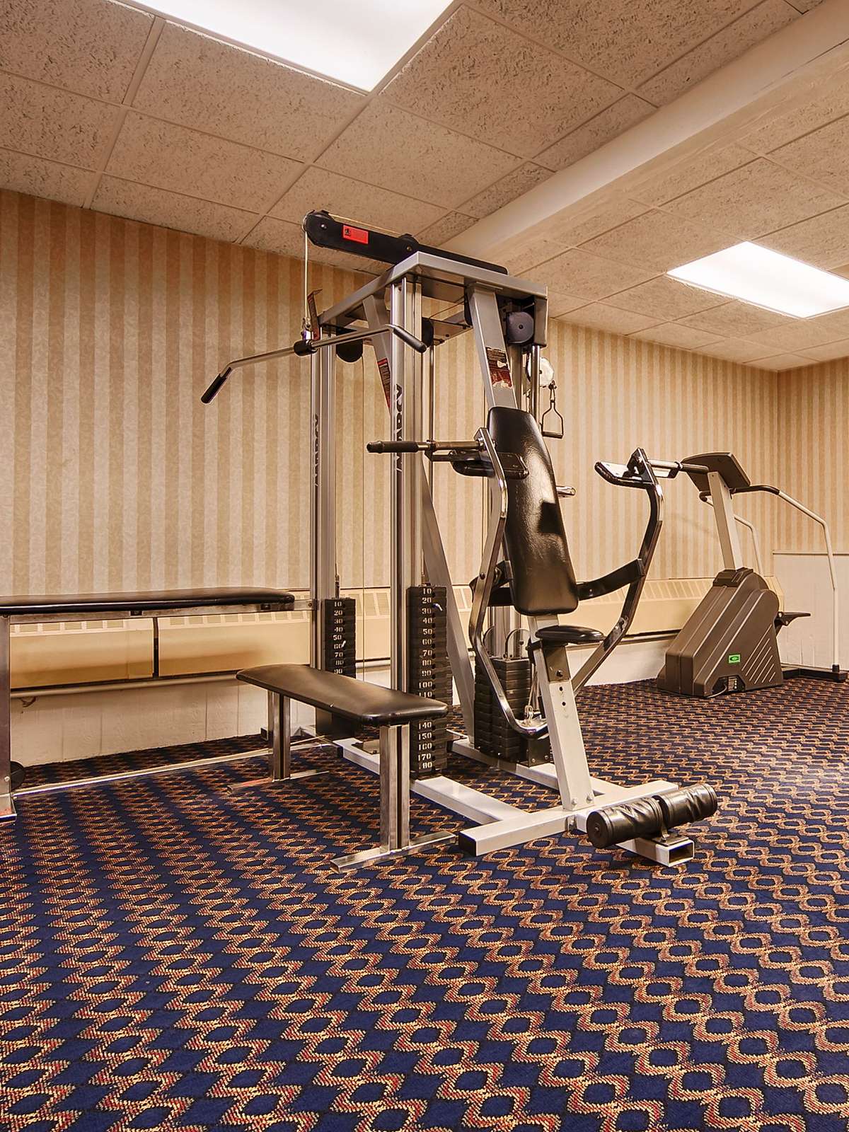 Hotel Best Western Woodhaven Inn photo 5