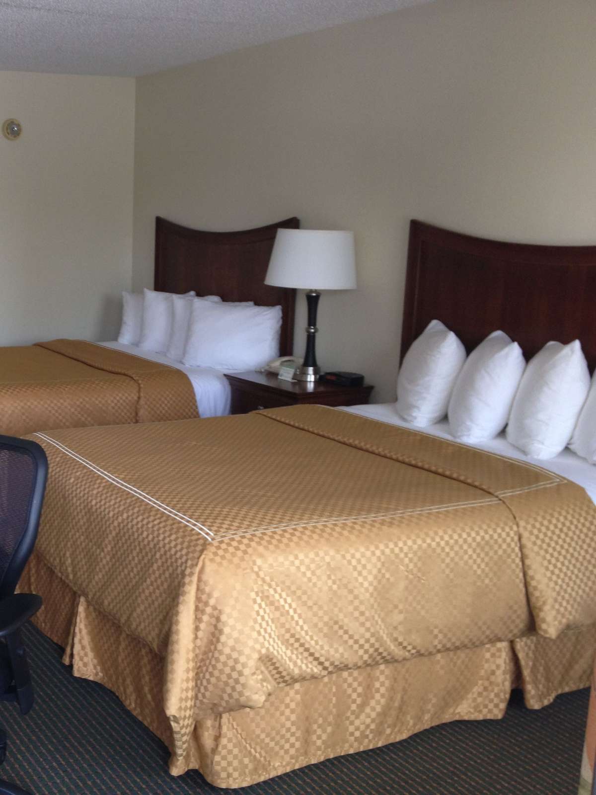 Hotel Best Western Inn & Suites - Monroe photo 1