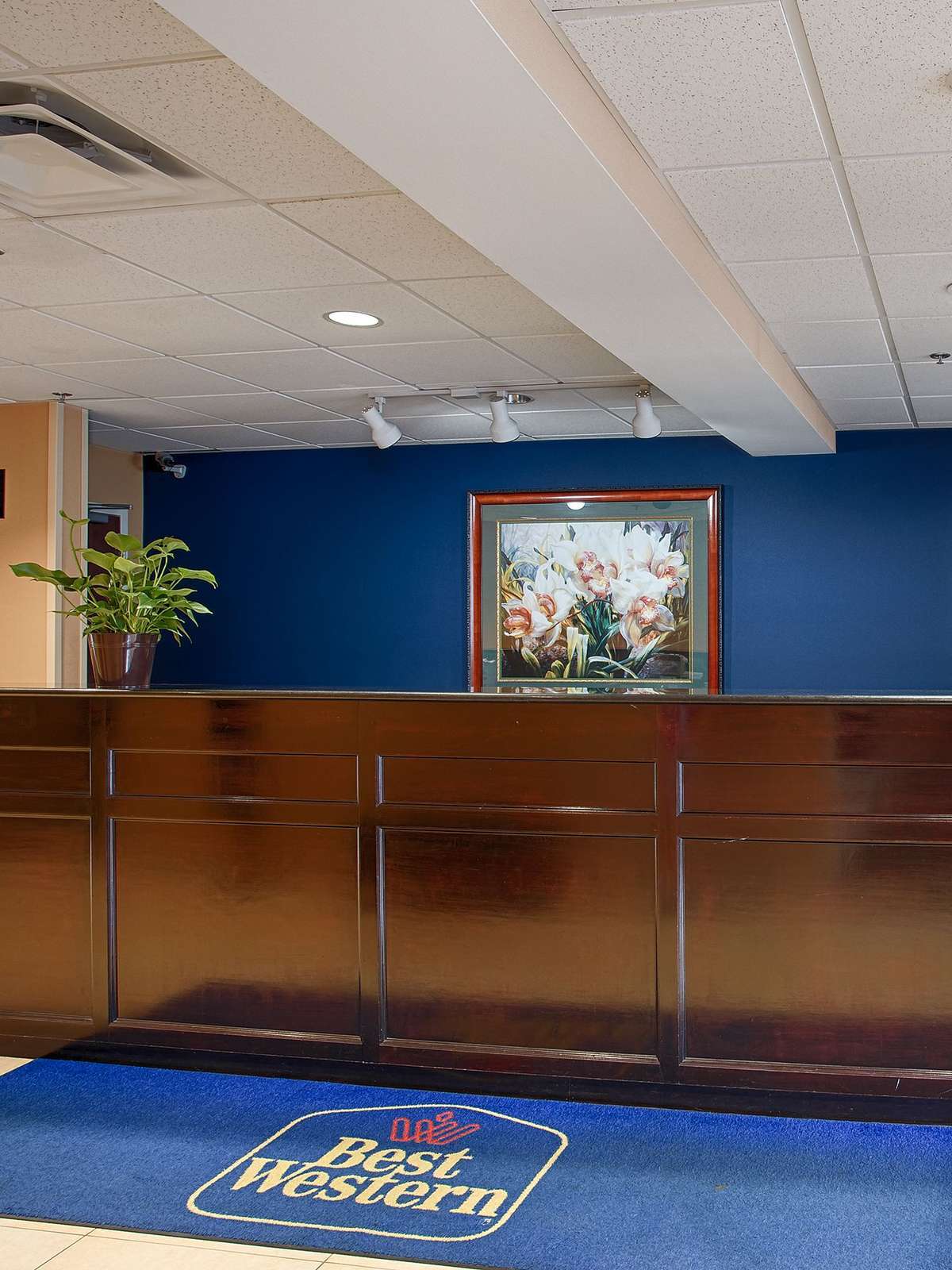 Hotel Best Western Concord Inn & Suites photo 4