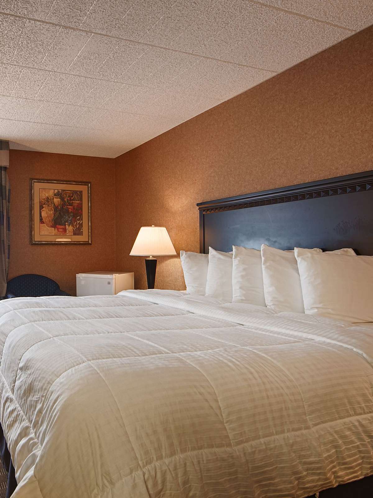 Hotel Best Western Hazlet Inn photo 1