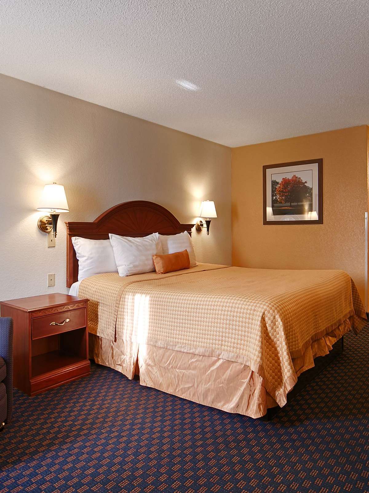 Hotel Best Western Executive Inn photo 1