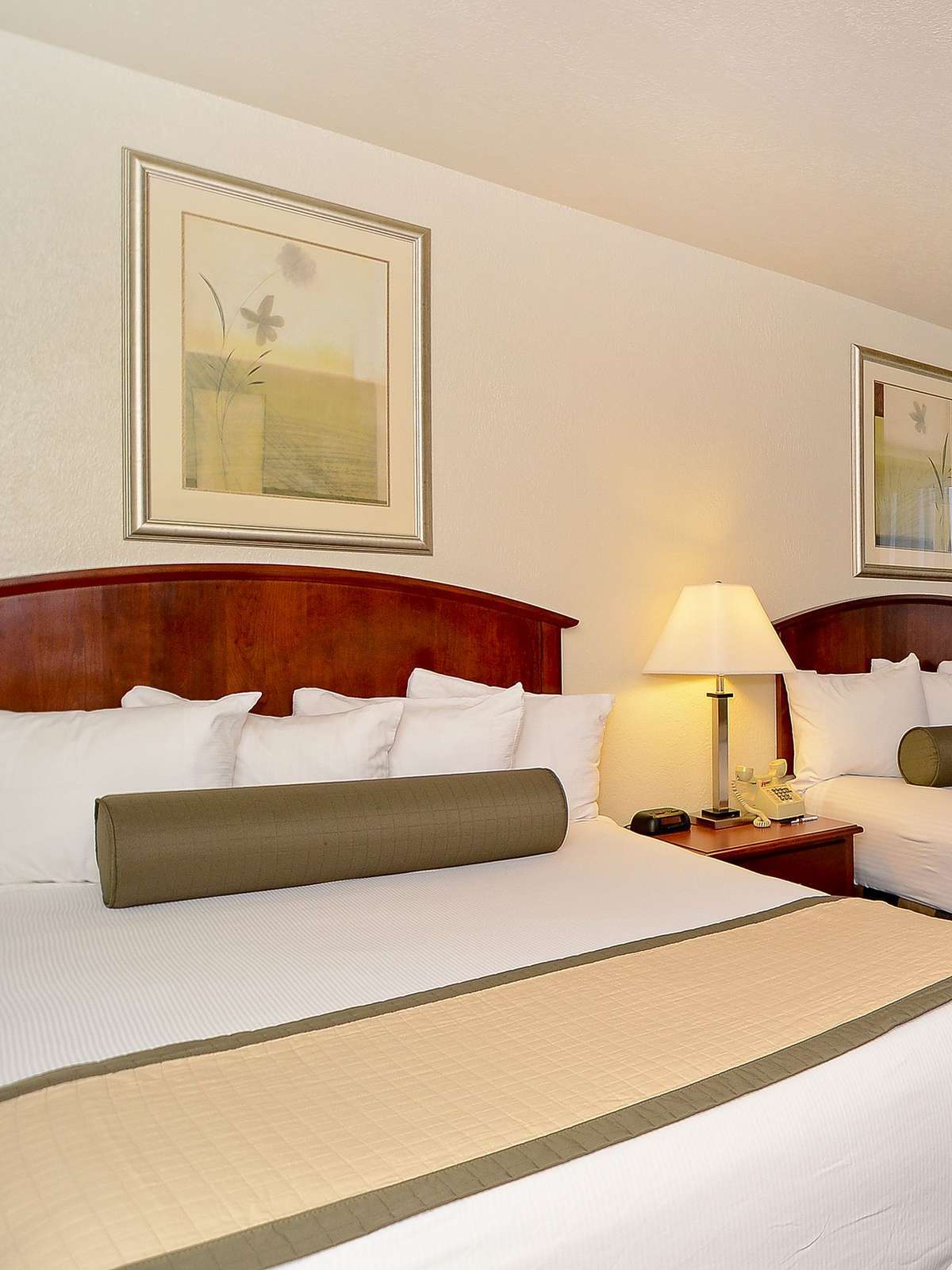 Hotel Best Western Plus Lawton Hotel & Convention Center photo 1