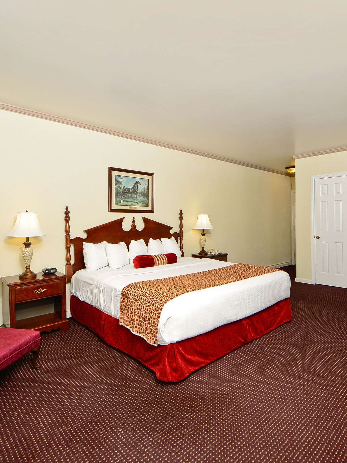Hotel Best Western Spring Hill Inn & Suites photo 1