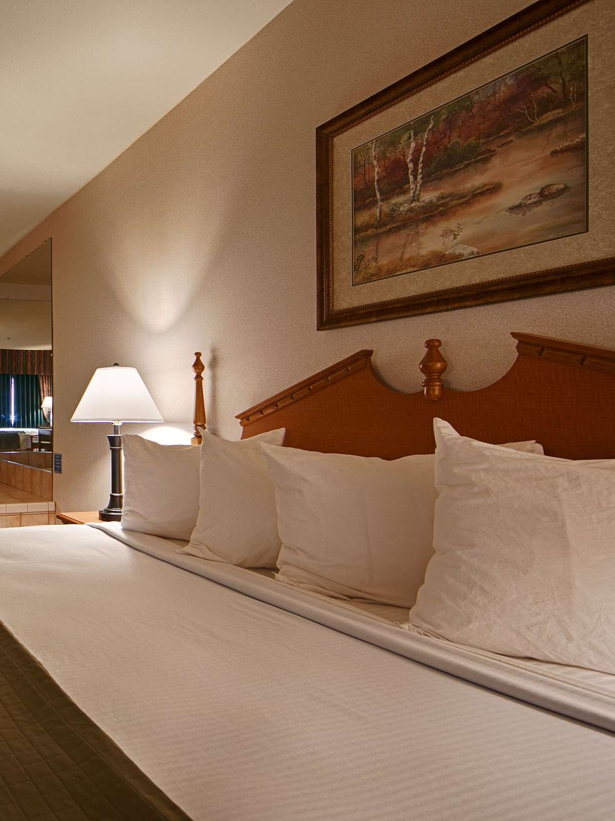 Hotel Best Western Dallas Inn & Suites photo 1