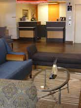 Hotel Best Western Corvallis photo 5