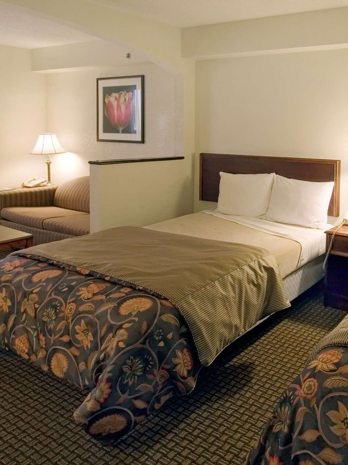 Hotel Best Western Suites Near Opryland photo 1
