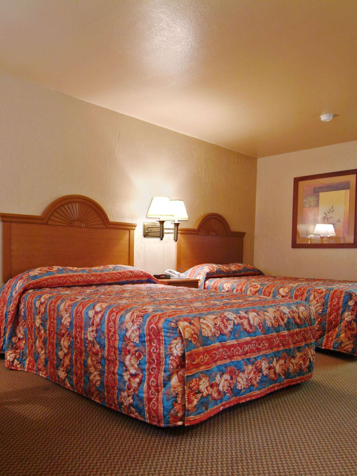 Hotel Best Western Port Aransas photo 1