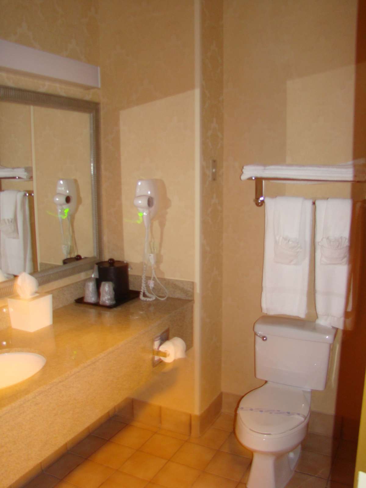 Hotel Best Western Plus Denton Inn & Suites photo 3