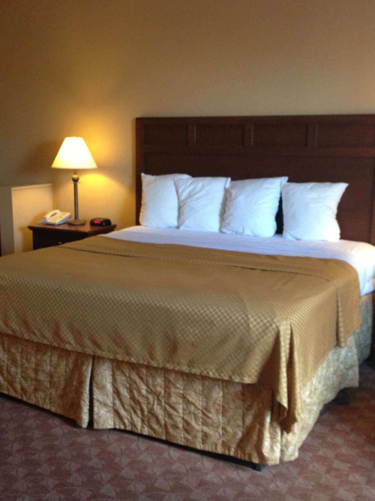 Best Western Lockhart Hotel & Suites