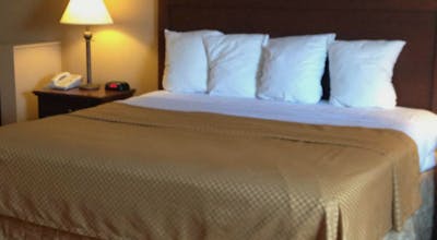 Best Western Lockhart Hotel & Suites