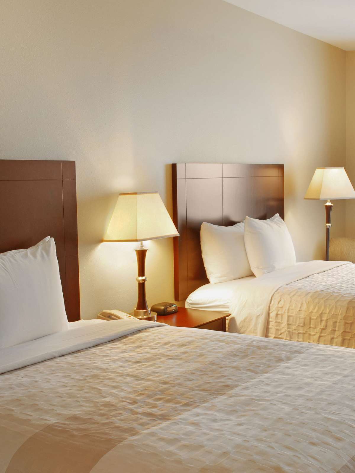 Best Western Sugarland Inn