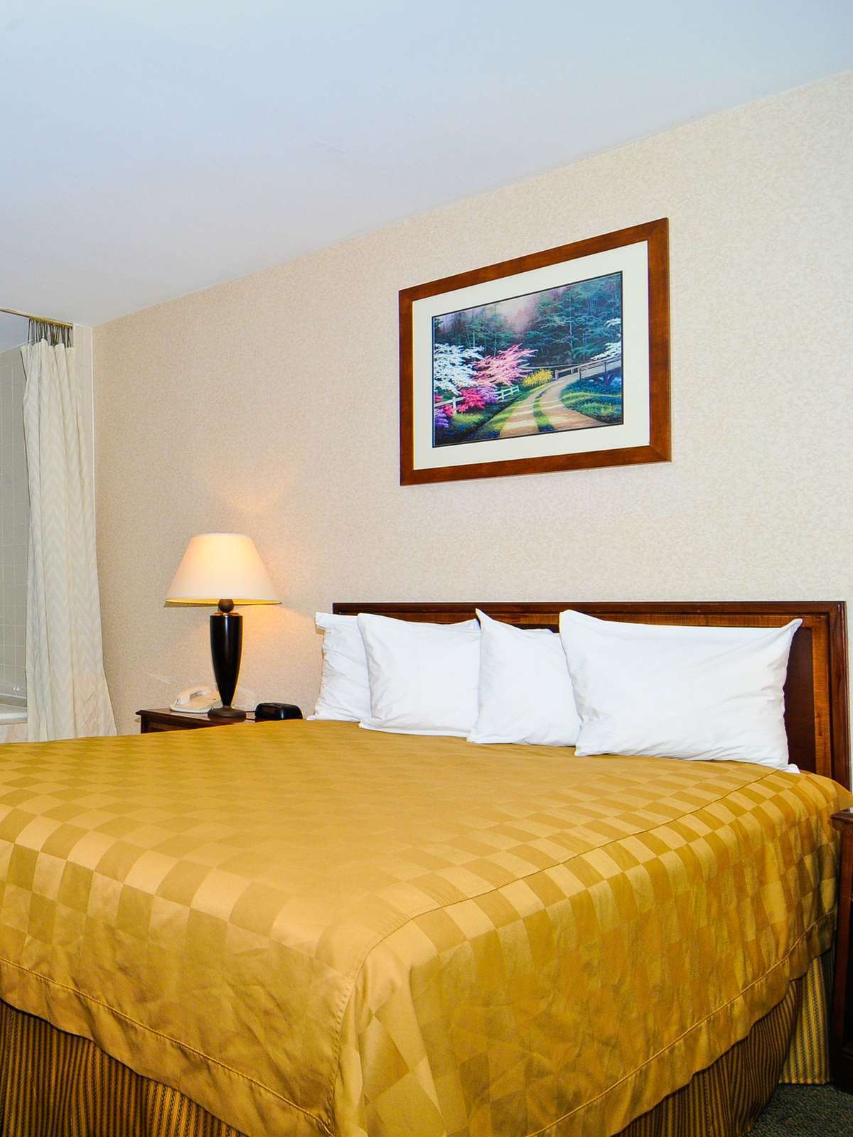 Hotel Best Western Manassas photo 1