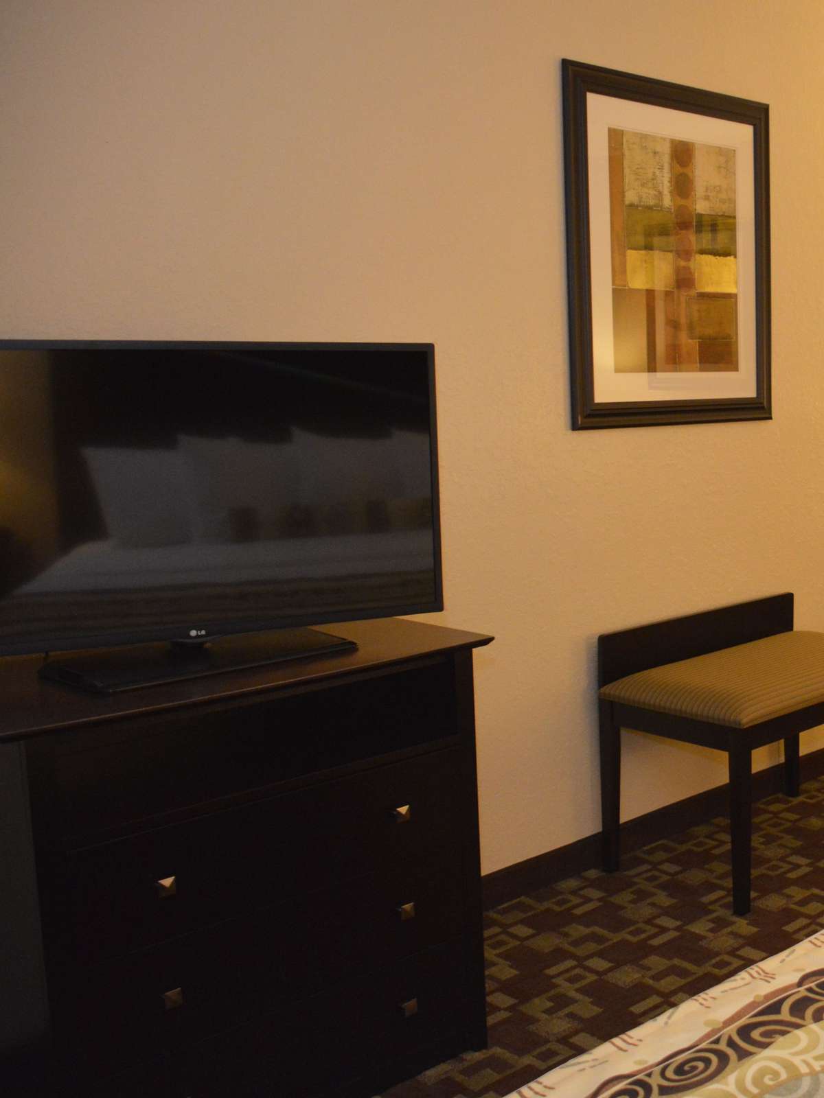 Hotel Best Western Plus Hobby Airport Inn & Suites photo 2