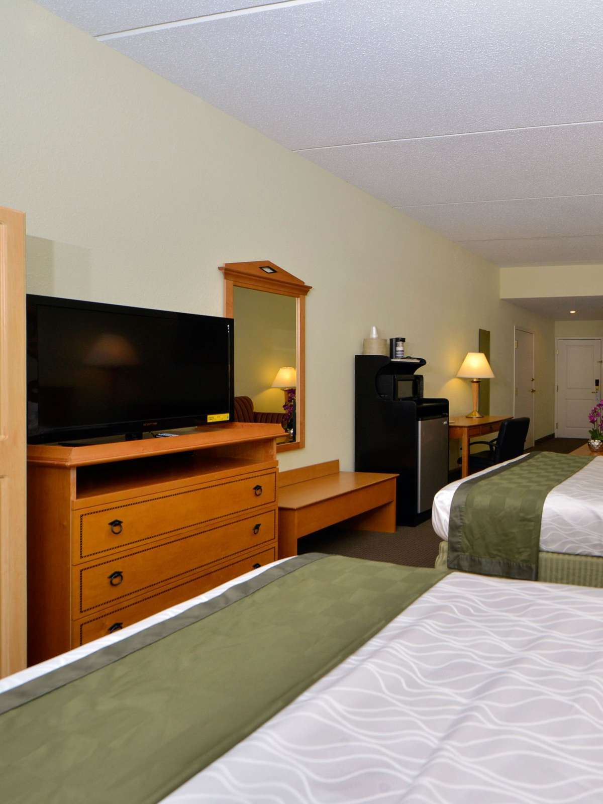 Hotel Best Western Plus Newport News Inn & Suites photo 2