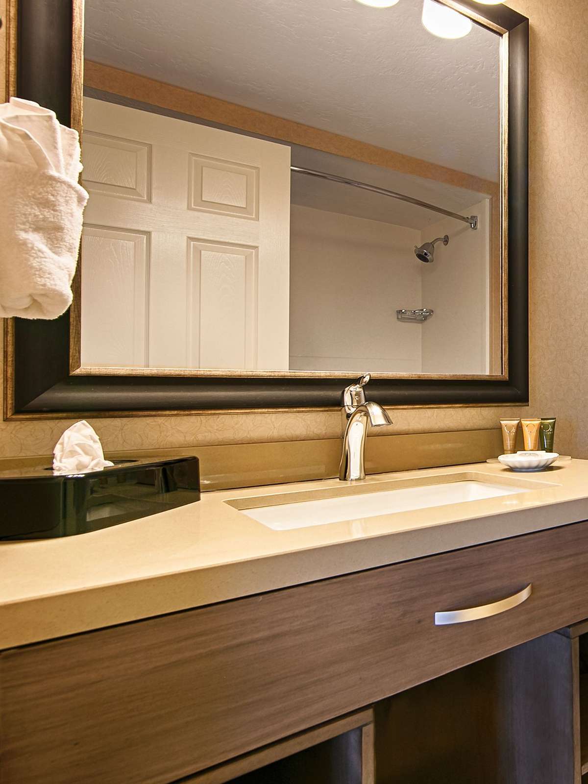 Hotel Best Western Plus Cotton Tree Inn photo 3