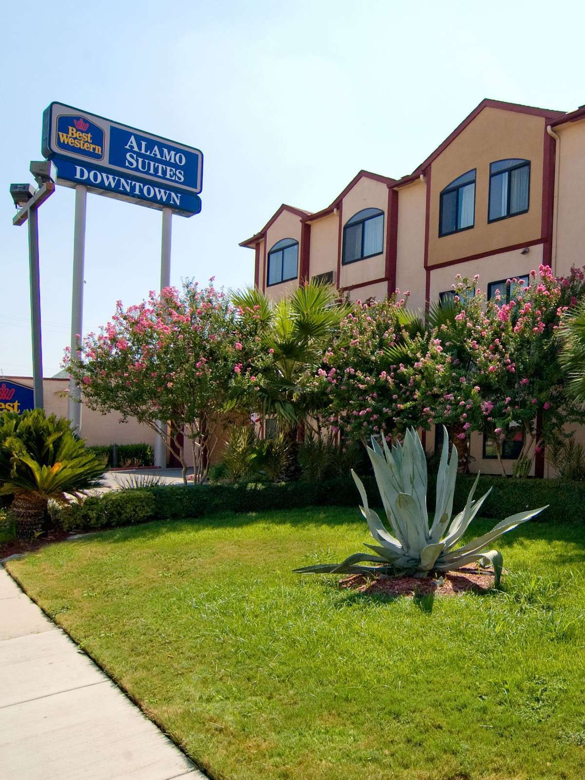 Hotel Best Western Alamo Suites photo 4