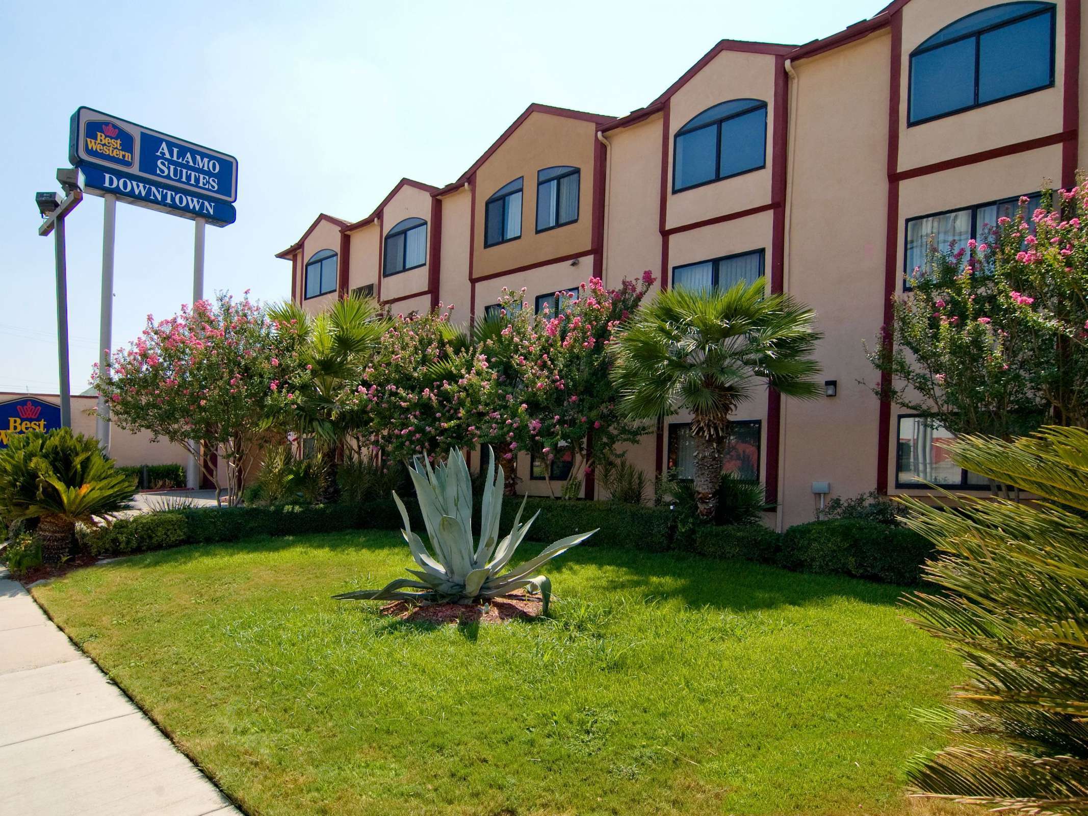 Best Western Alamo Suites