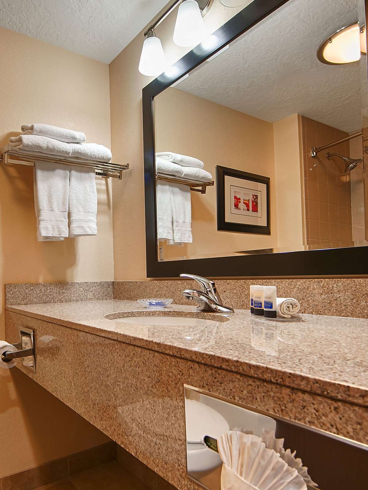 Hotel Best Western Plus Airport Inn & Suites photo 3