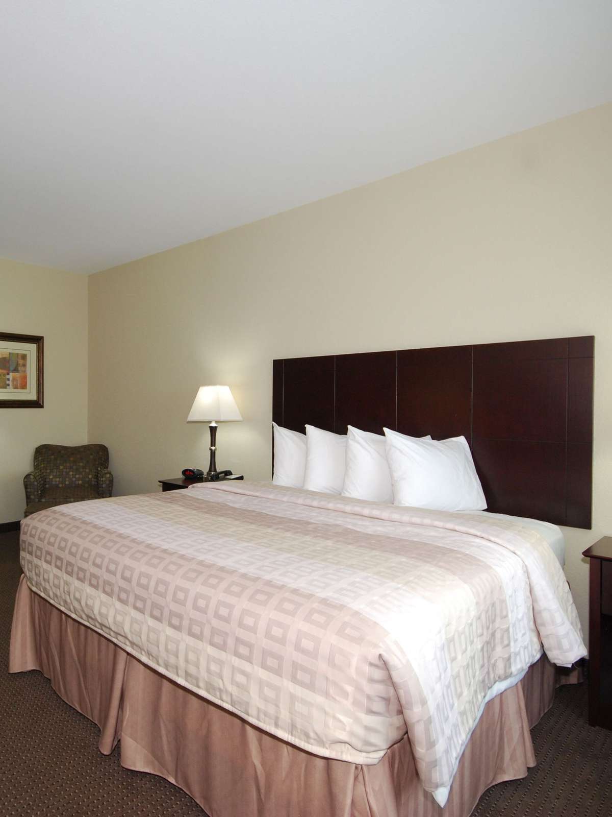Best Western Plus Katy Inn & Suites