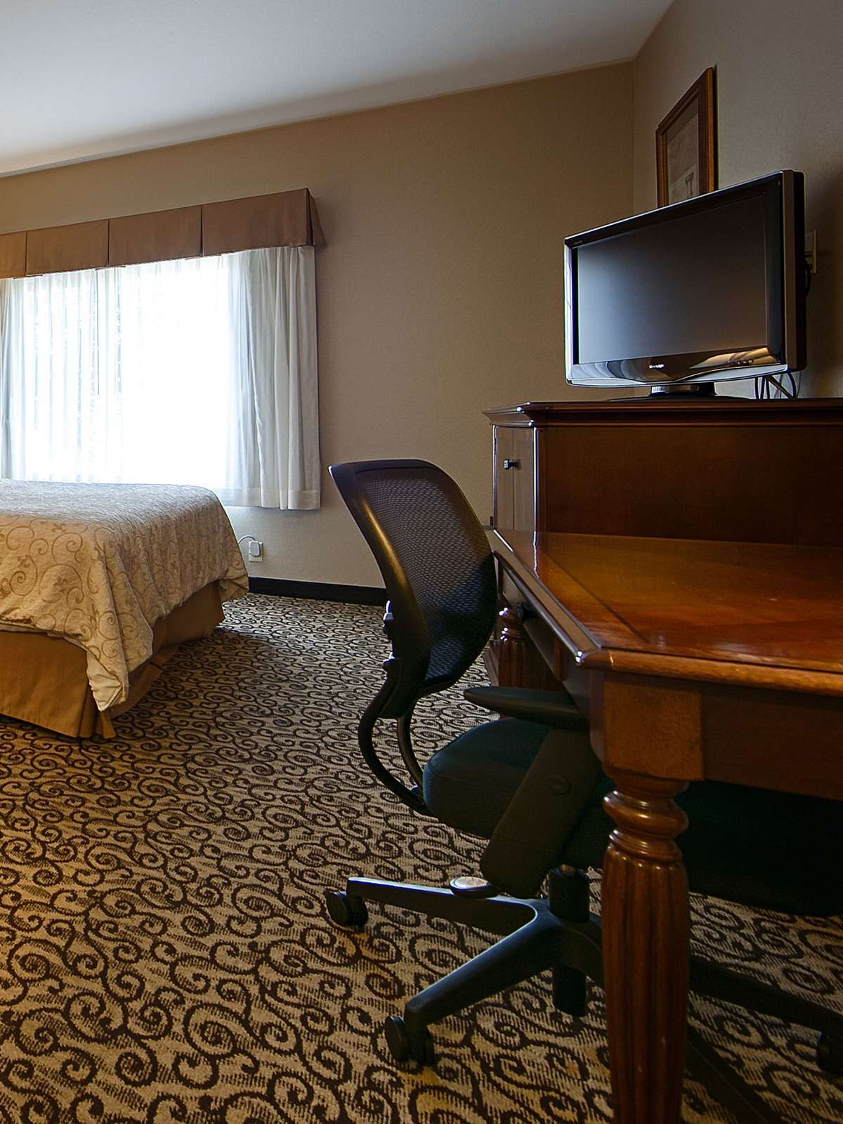 Hotel Best Western Plus Fossil Country Inn & Suites photo 2