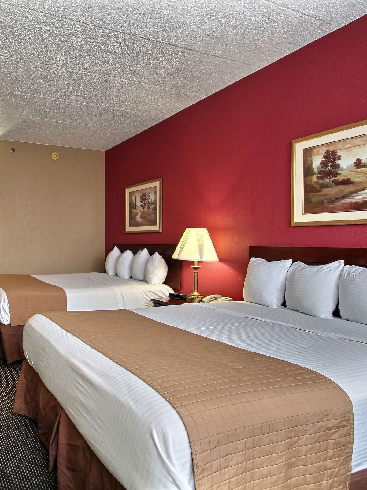 Best Western Executive Inn