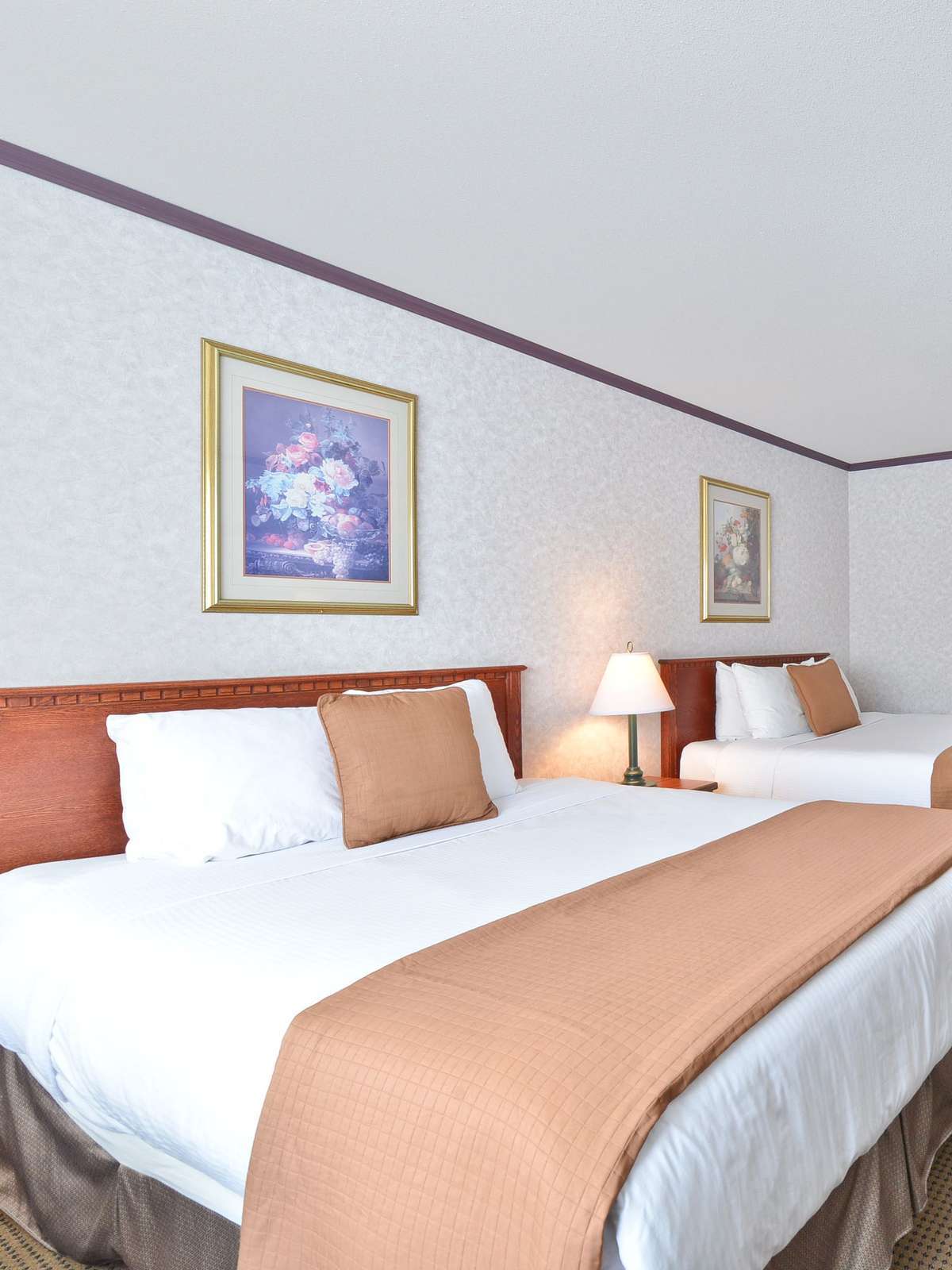 Hotel Best Western Mountainview Inn photo 1