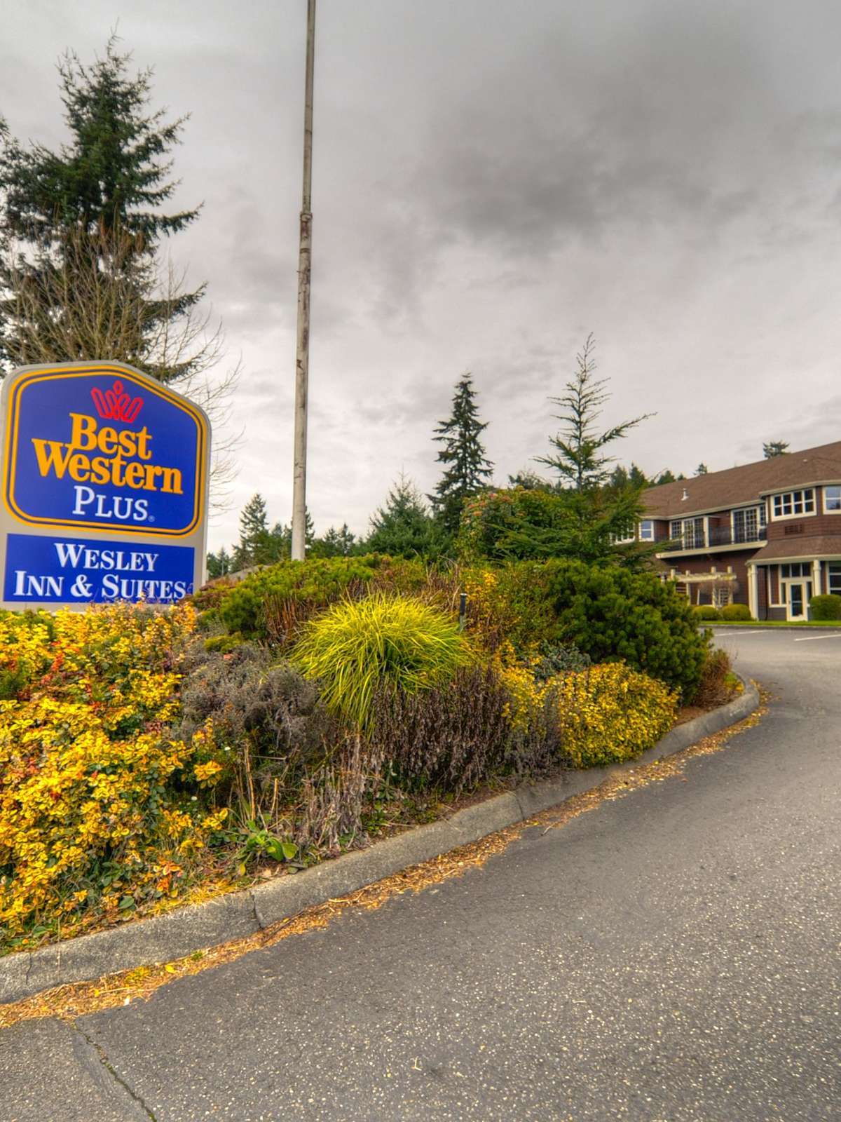 Hotel Best Western Wesley Inn & Suites photo 5