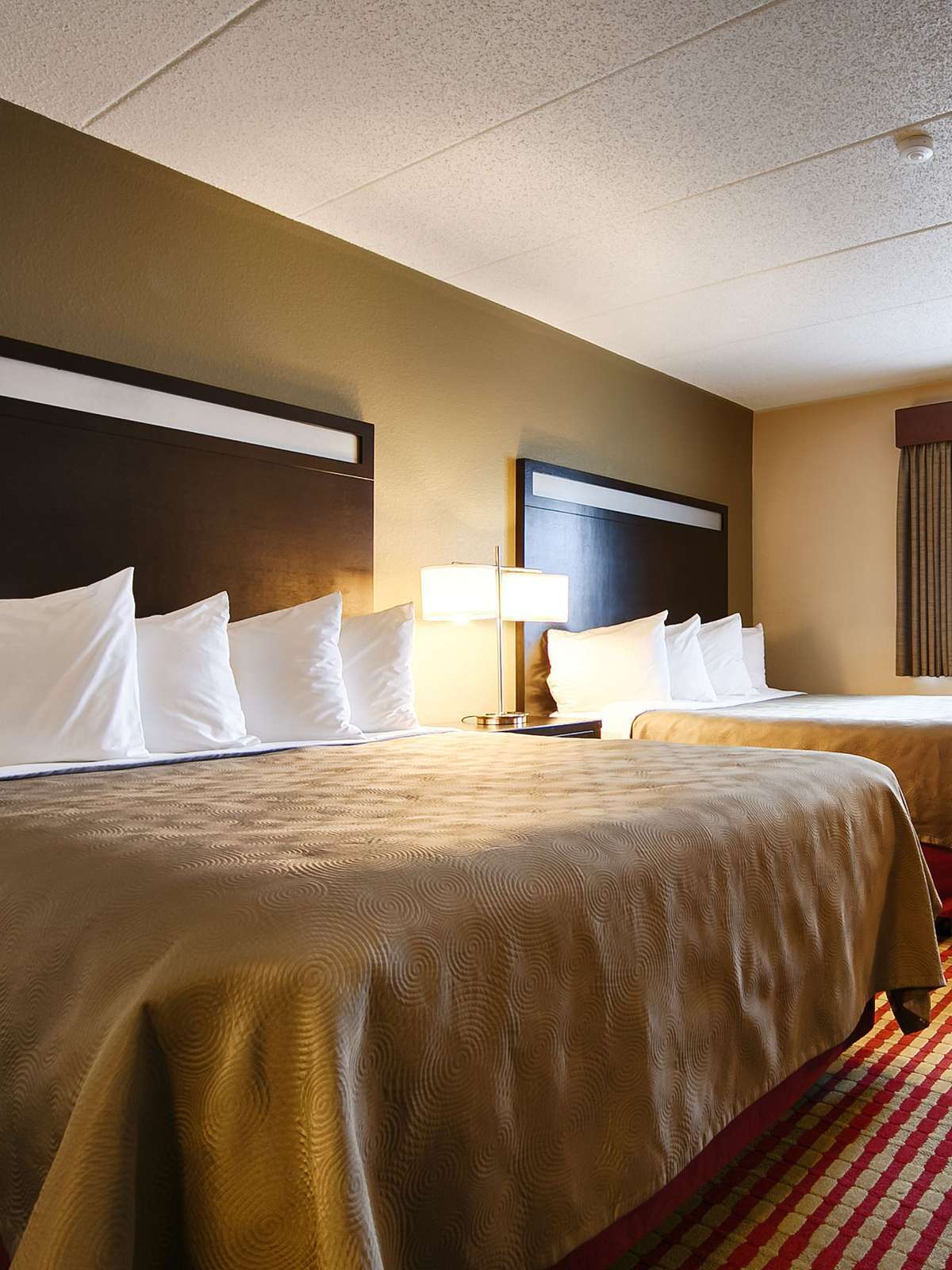 Hotel Best Western Germantown Inn photo 1