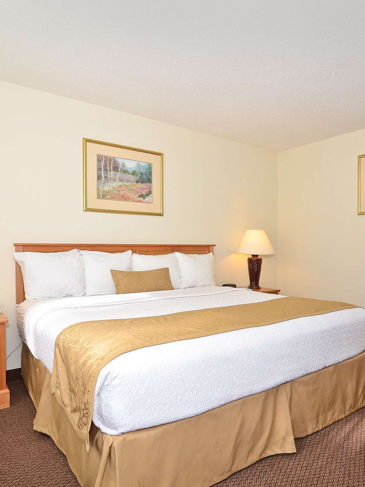 Hotel Best Western Baraboo Inn photo 1