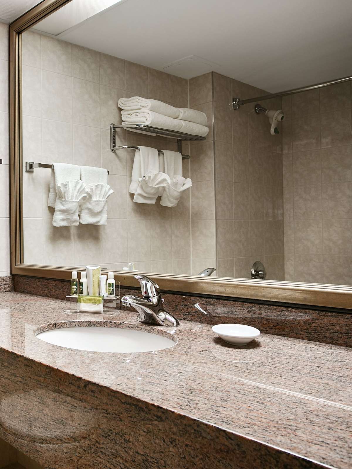 Hotel Best Western Plus Ottawa City Centre photo 1