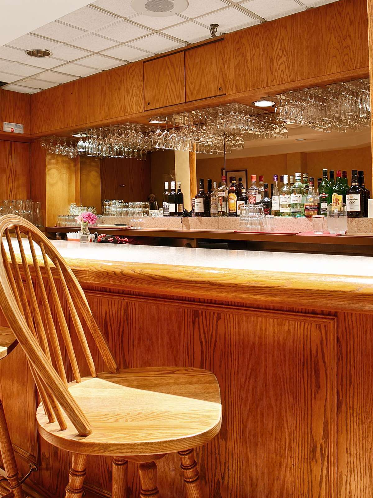 Hotel Best Western Plus Ottawa City Centre photo 4