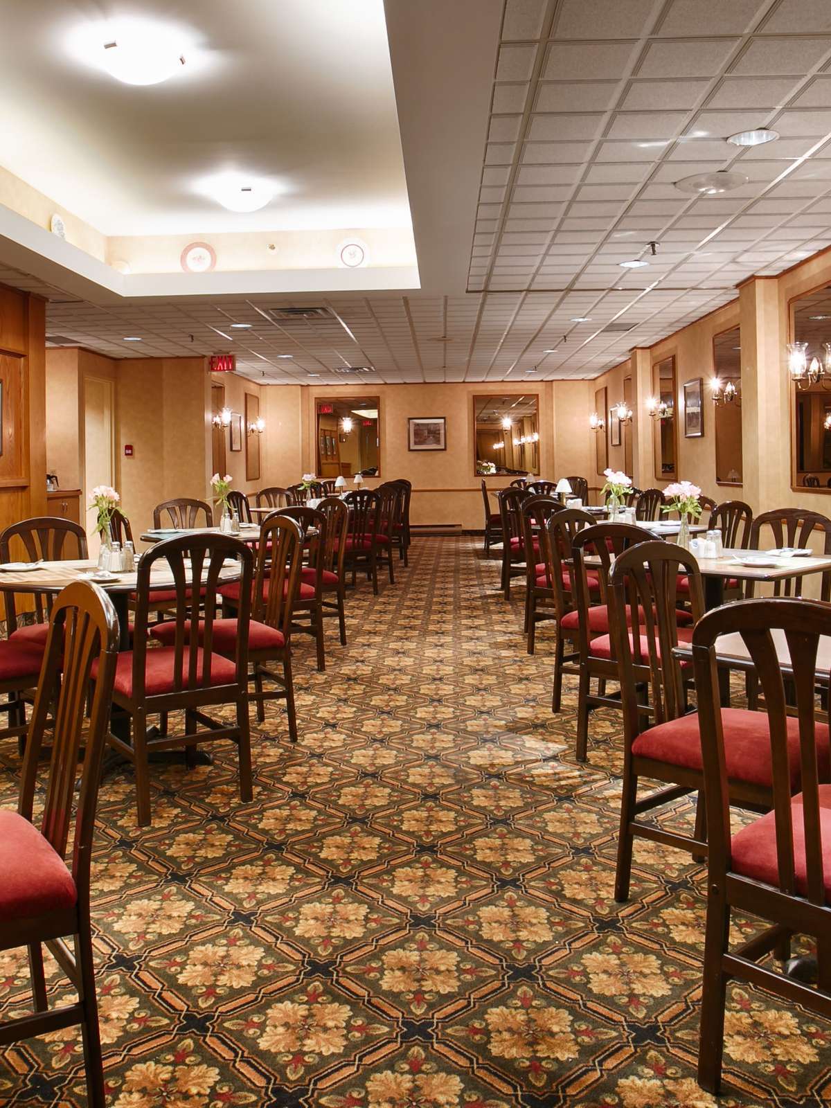 Hotel Best Western Plus Ottawa City Centre photo 5