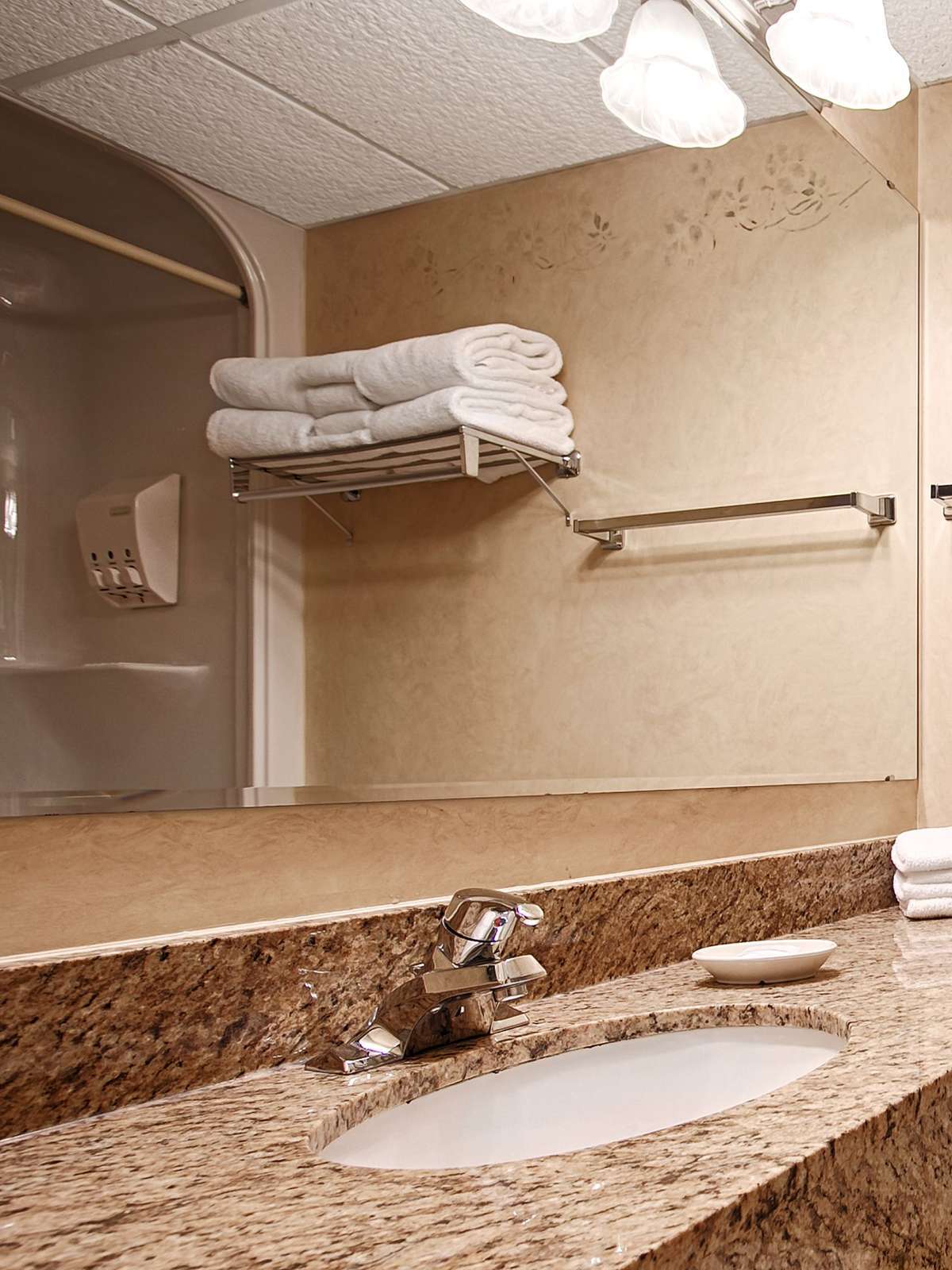 Hotel Best Western Plus Orillia Hotel photo 3