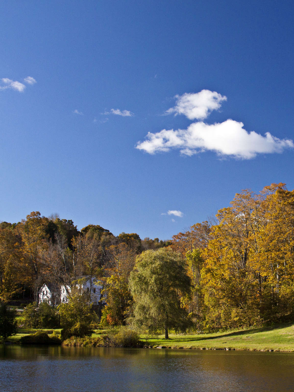 Hotel Kedron Valley Inn photo 1