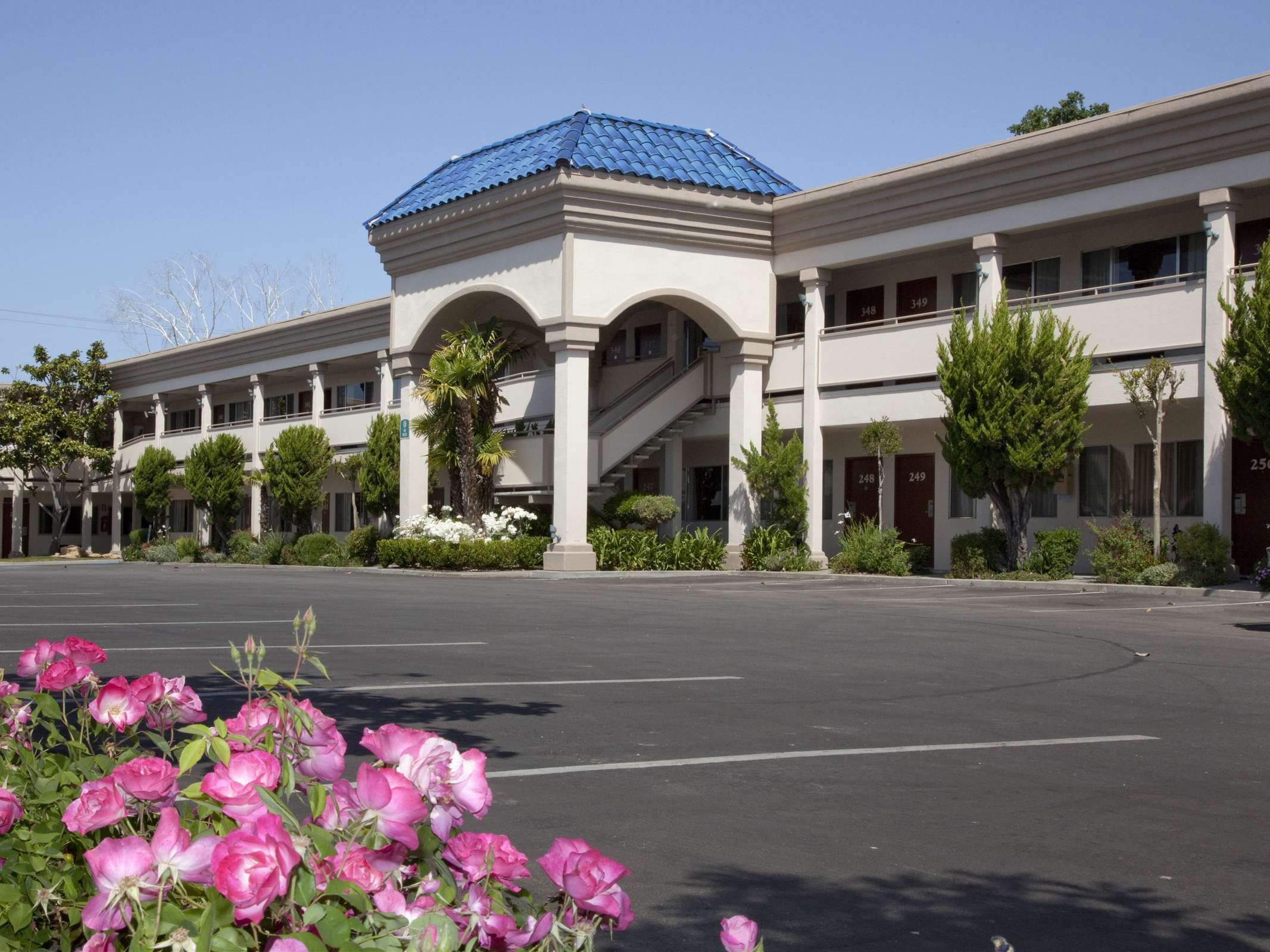 Best Western Plus Black Oak