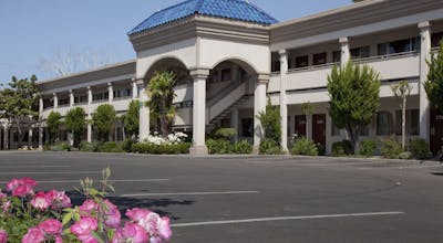 Best Western Plus Black Oak