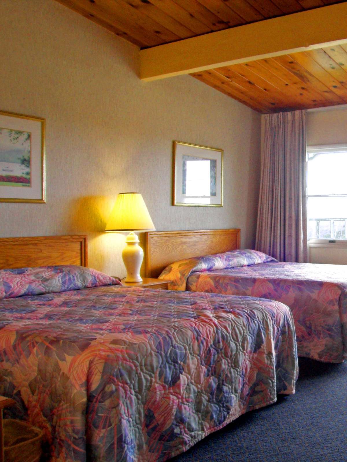 Hotel Best Western Vista Manor Lodge photo 1