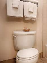 Hotel Best Western Sandman Hotel photo 3