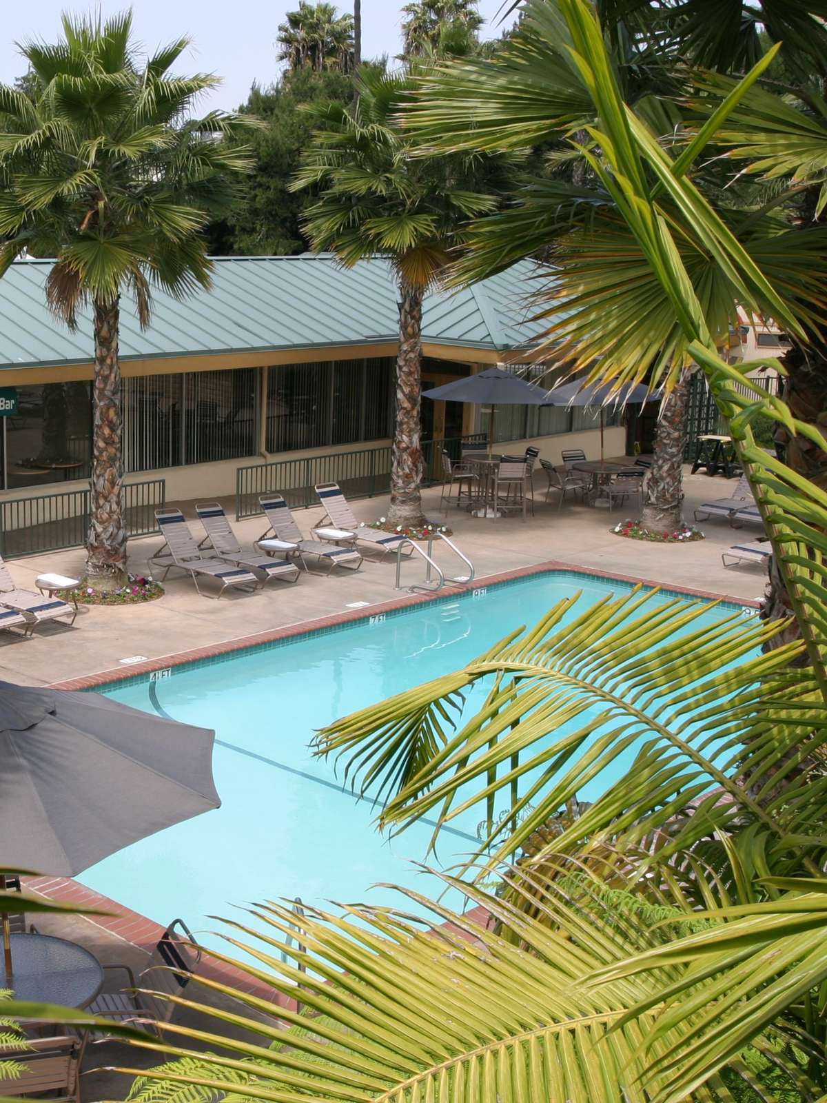 Hotel Best Western Seven Seas photo 2