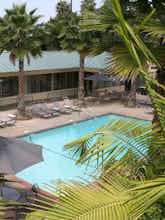 Hotel Best Western Seven Seas photo 2