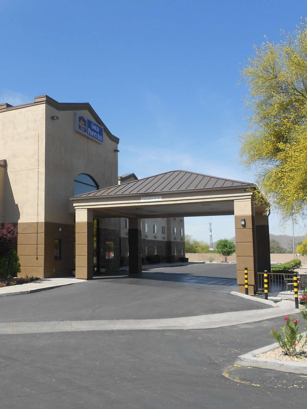 Best Western Gold Poppy Inn