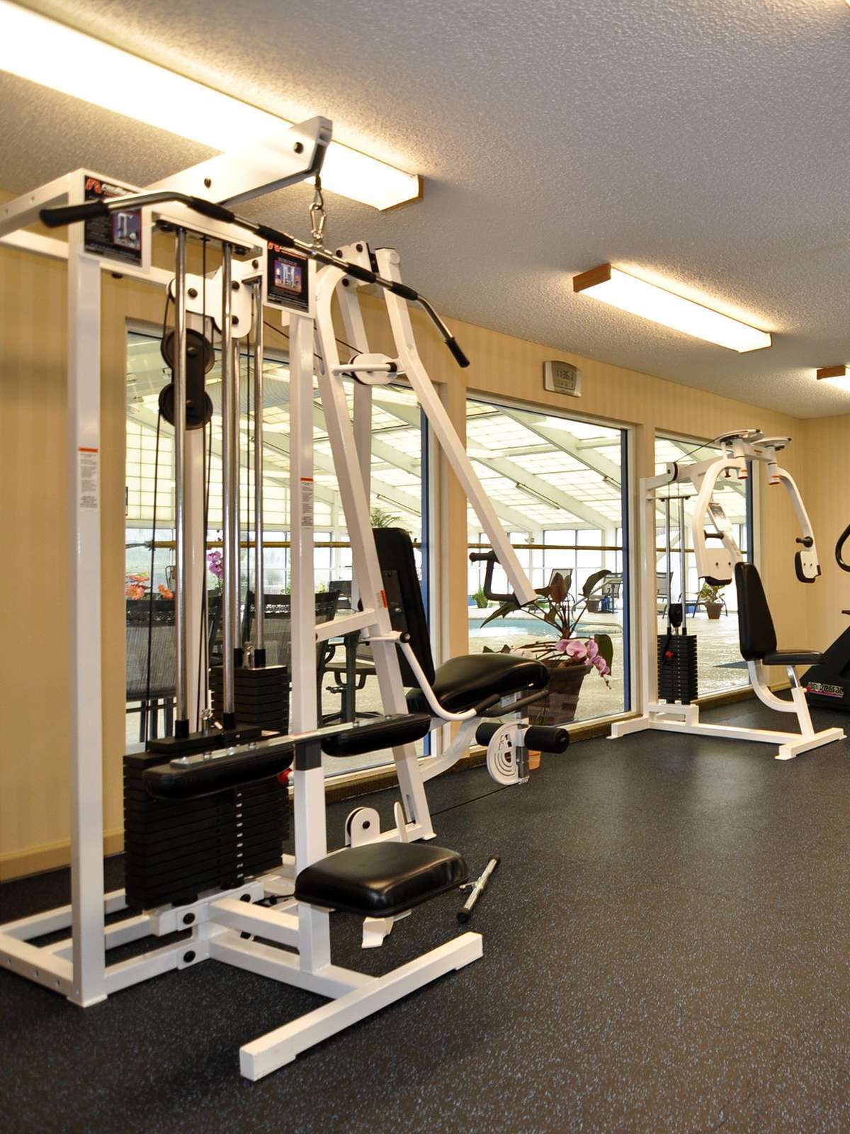 Hotel Best Western Carlton Suites photo 5