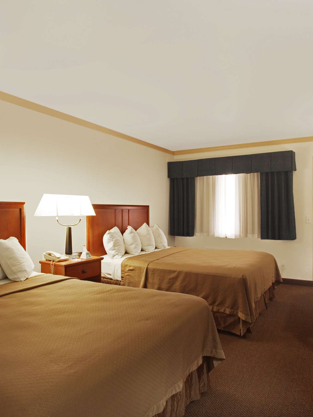 Hotel Best Western Apache Junction Inn photo 1