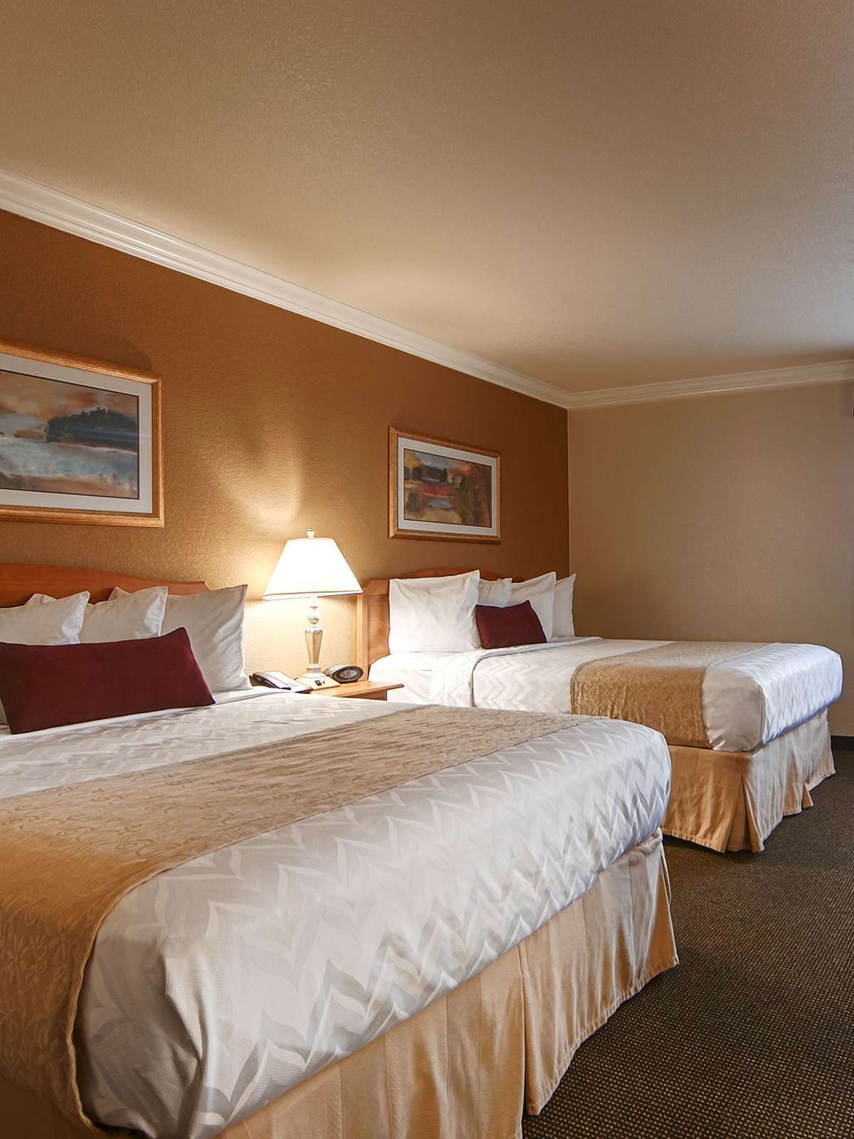 Hotel Best Western Town & Country Lodge photo 1