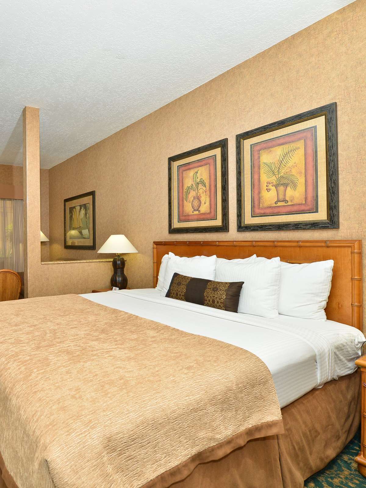 Hotel Best Western Plus Park Place Inn - Mini Suites photo 1