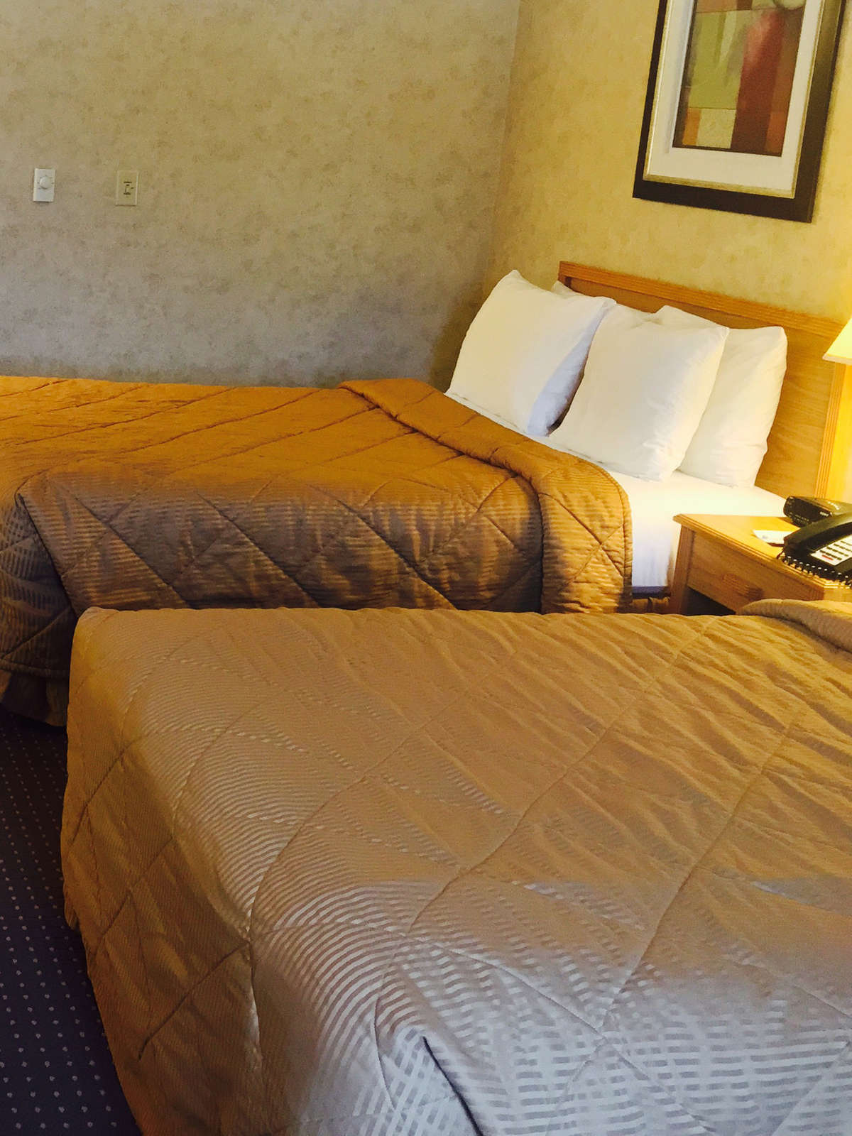 Hotel Baymont Inn & Suites Marinette photo 1