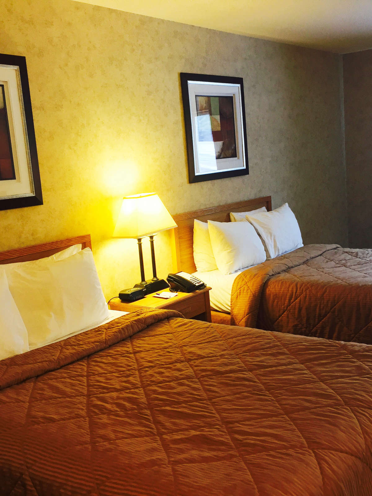 Hotel Baymont Inn & Suites Marinette photo 3