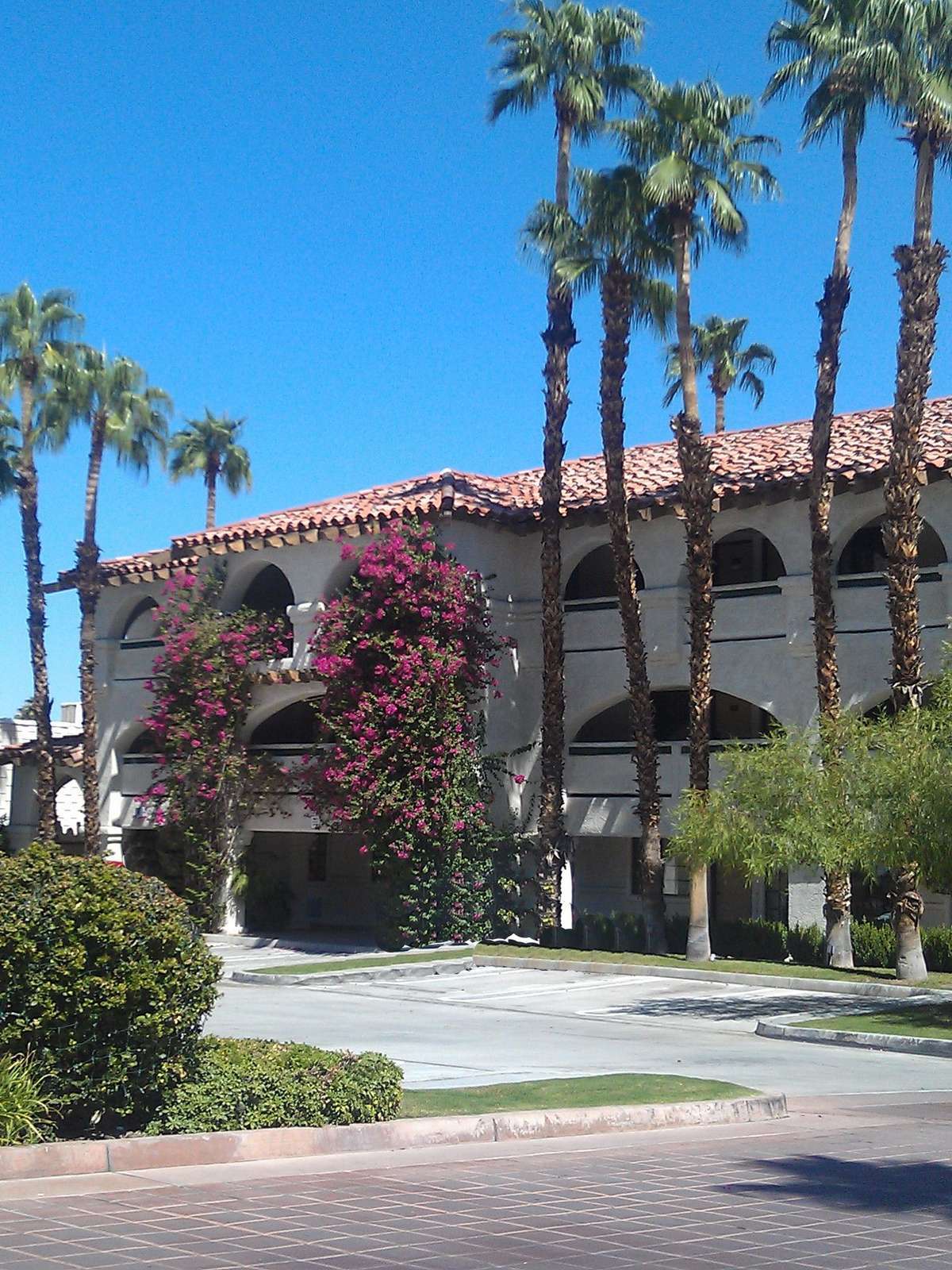 Hotel Best Western Plus Las Brisas Hotel photo 1