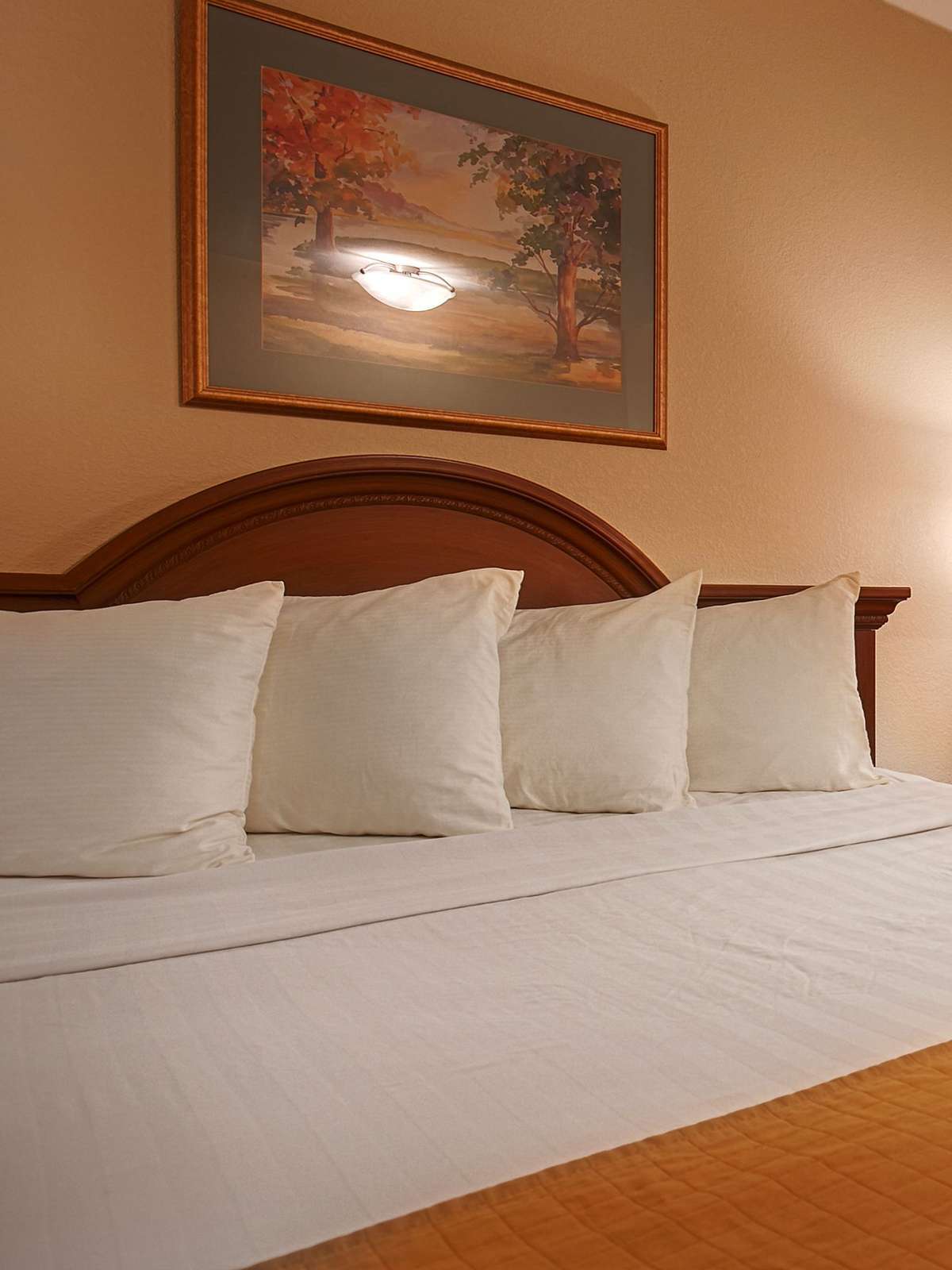 Hotel Best Western Gold Country Inn photo 1