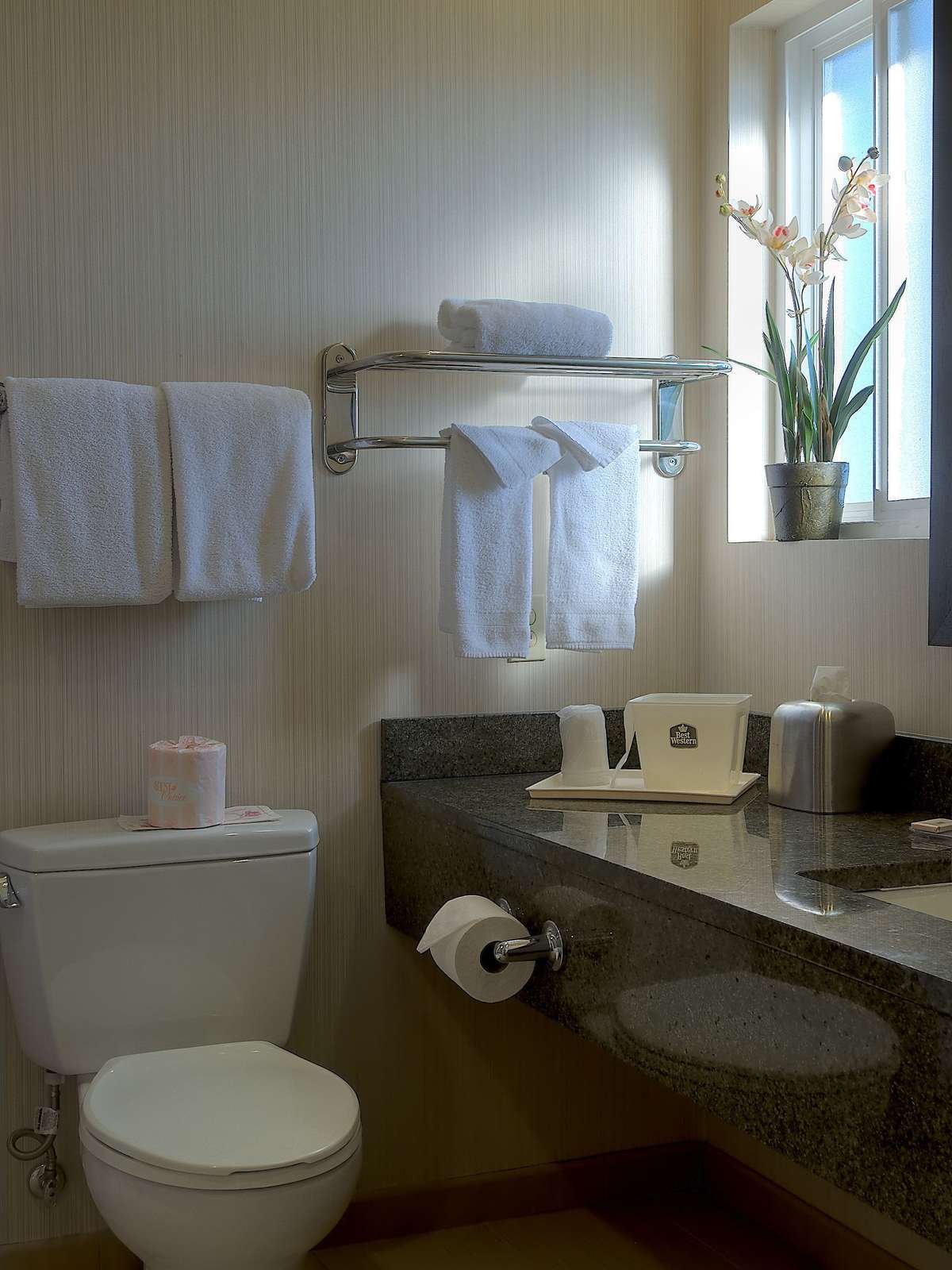 Hotel Best Western Inn of Ventura photo 3